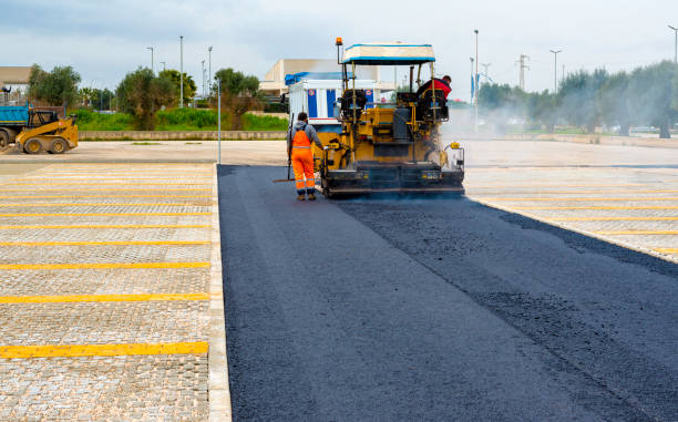 Professional Driveway Pavers in Cane Savannah, SC