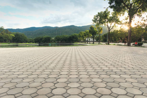 Best Affordable Driveway Pavers  in Cane Savannah, SC