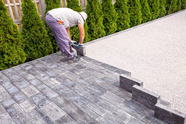 Best Professional Driveway Pavers  in Cane Savannah, SC