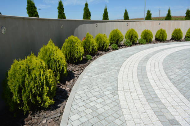 Best Driveway Paver Sealing  in Cane Savannah, SC