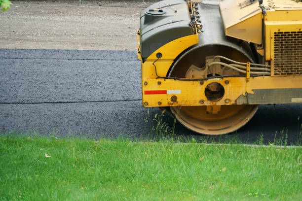 Best Residential Paver Driveway  in Cane Savannah, SC