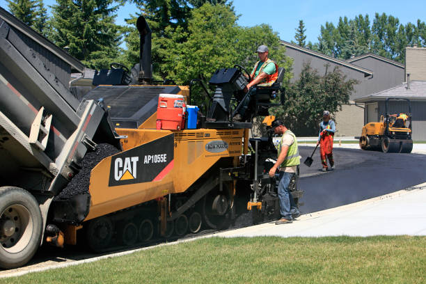 Best Affordable Driveway Pavers  in Cane Savannah, SC