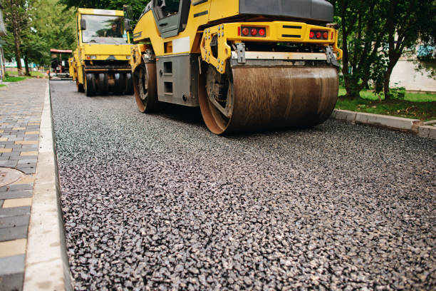 Best Residential Driveway Paver Services  in Cane Savannah, SC